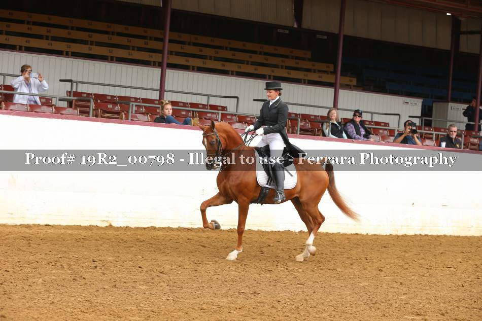 Proof 19R2_00798