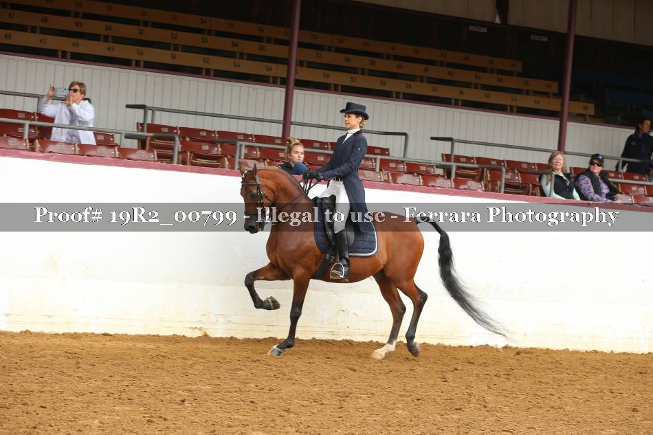 Proof 19R2_00799