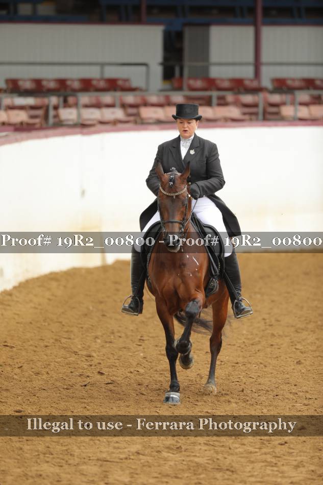 Proof 19R2_00800