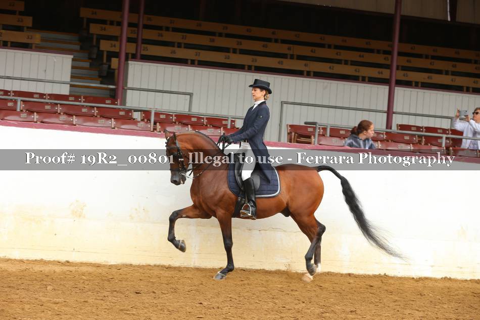 Proof 19R2_00801
