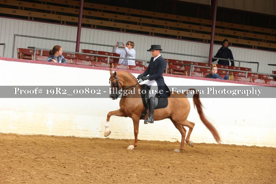 Proof 19R2_00802