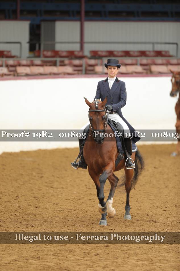 Proof 19R2_00803