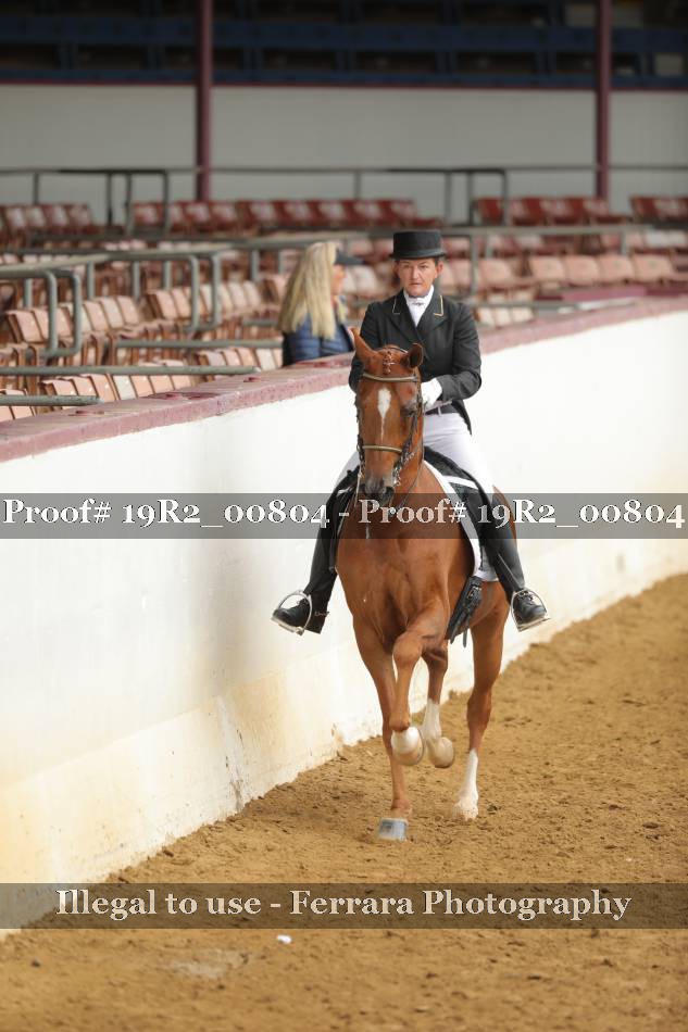 Proof 19R2_00804