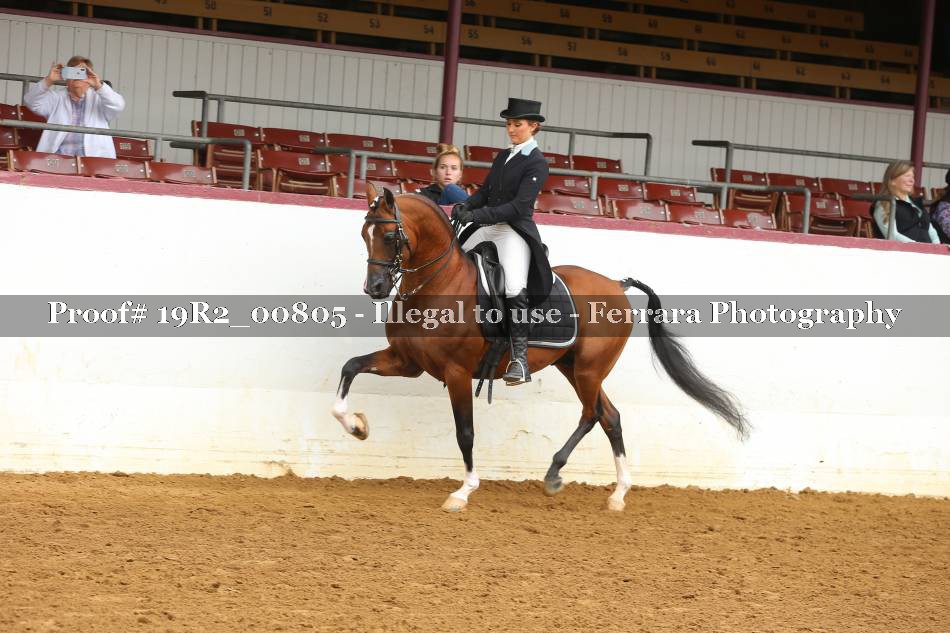 Proof 19R2_00805