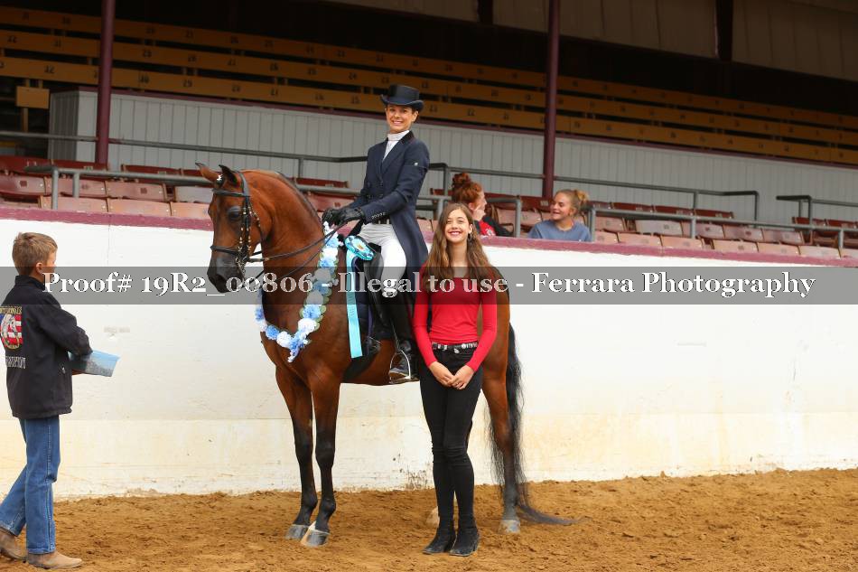 Proof 19R2_00806