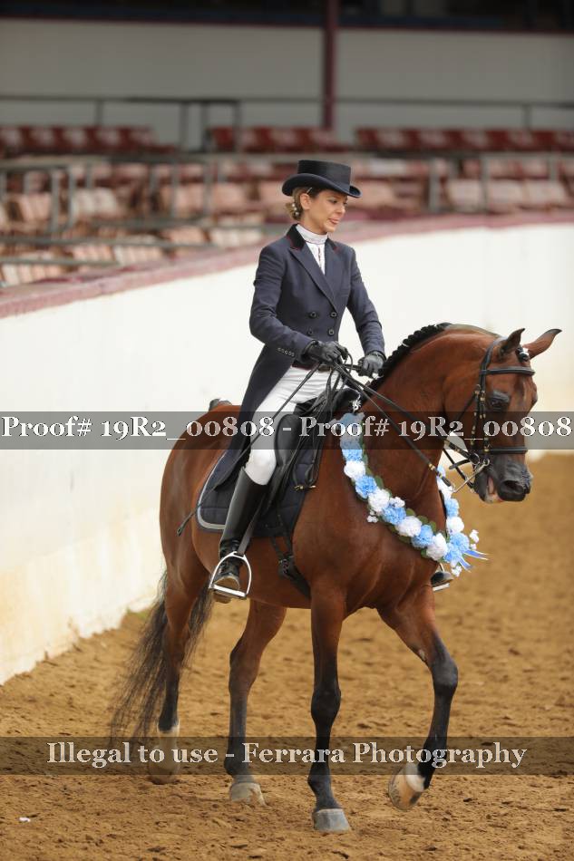 Proof 19R2_00808