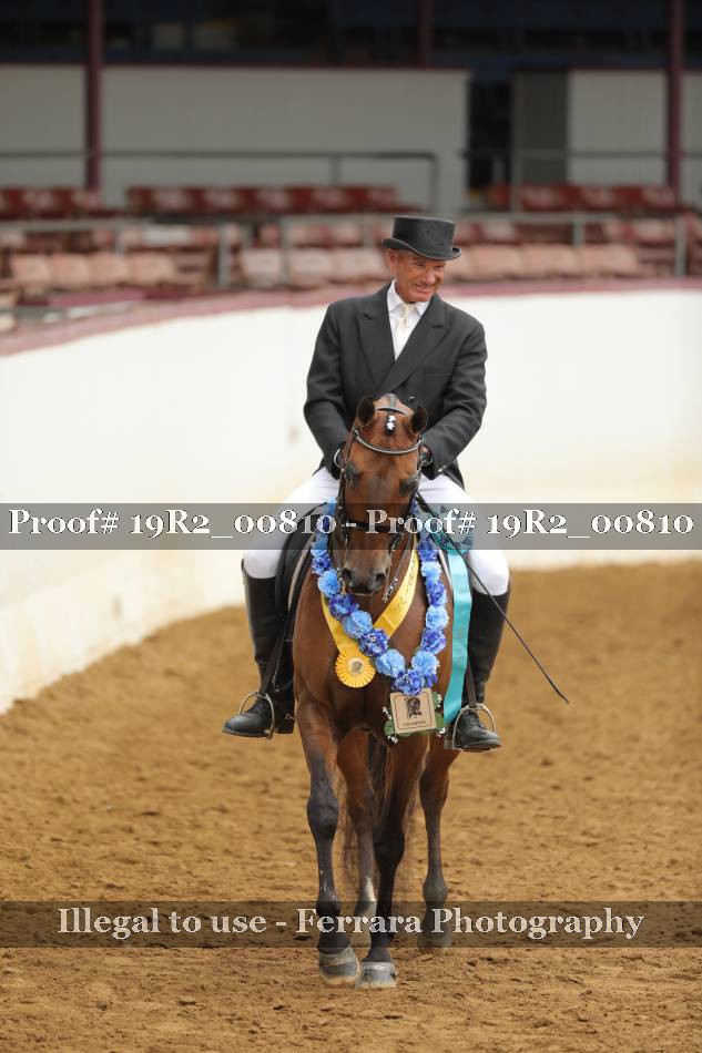 Proof 19R2_00810