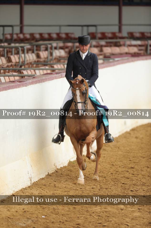 Proof 19R2_00814