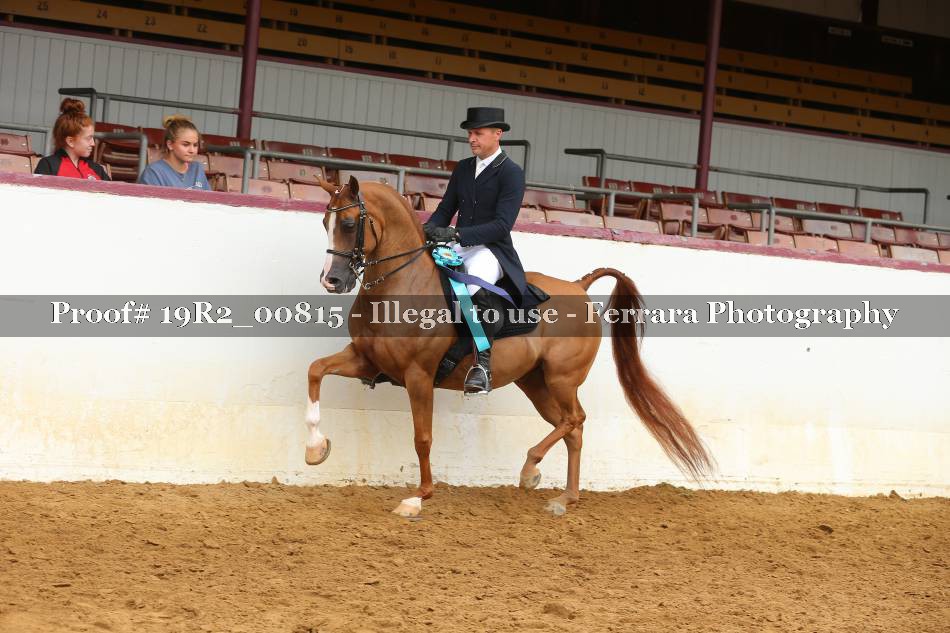 Proof 19R2_00815