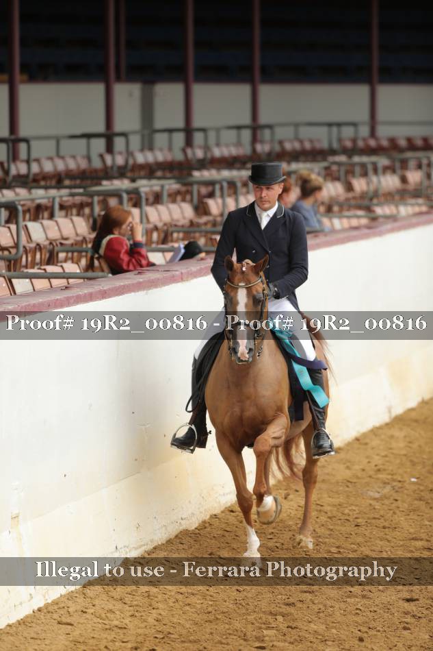 Proof 19R2_00816