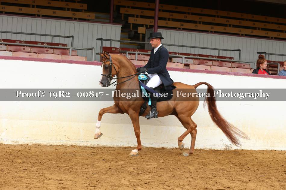 Proof 19R2_00817