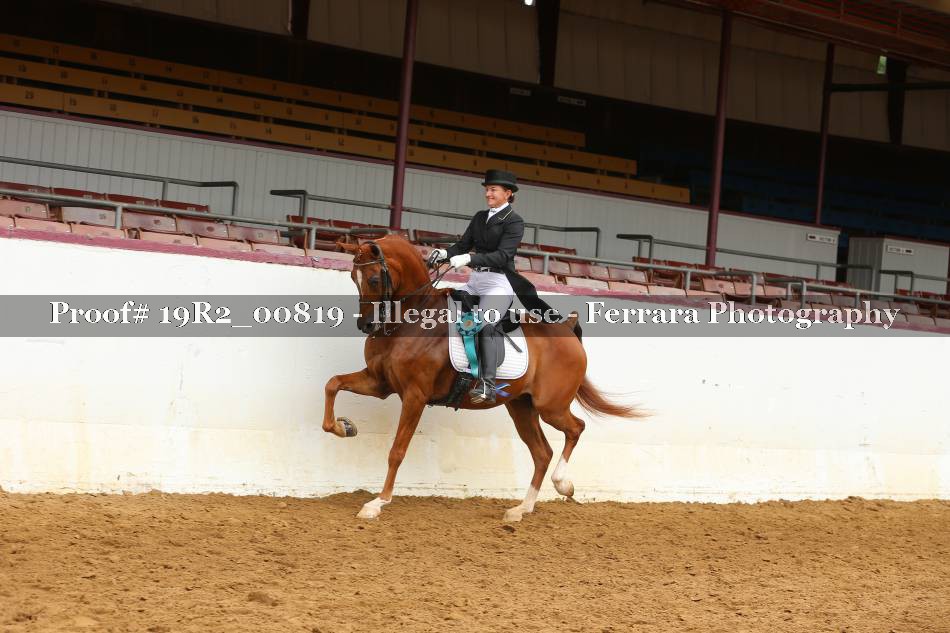 Proof 19R2_00819