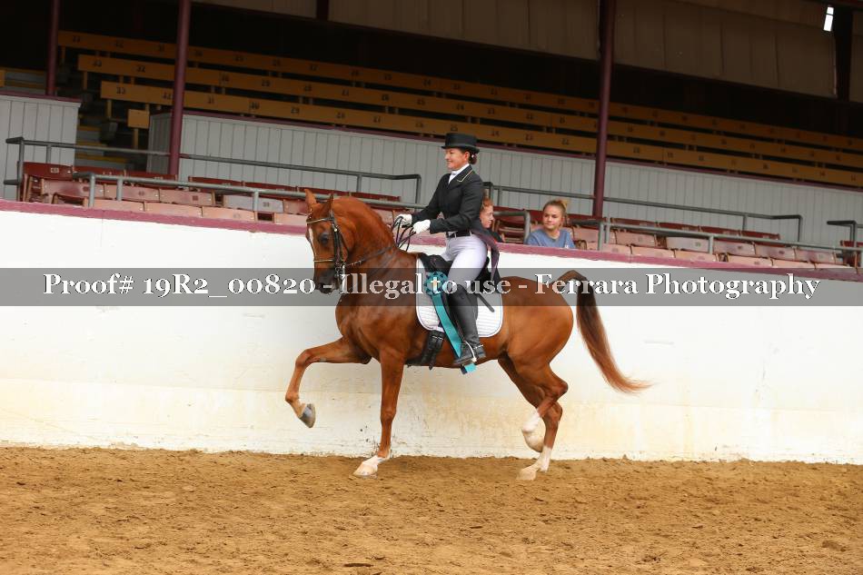 Proof 19R2_00820