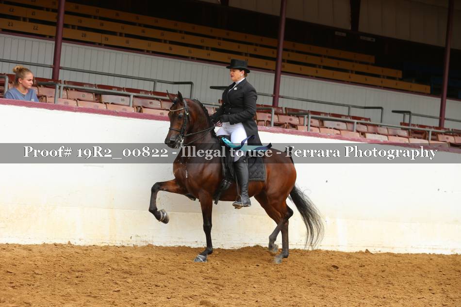 Proof 19R2_00822
