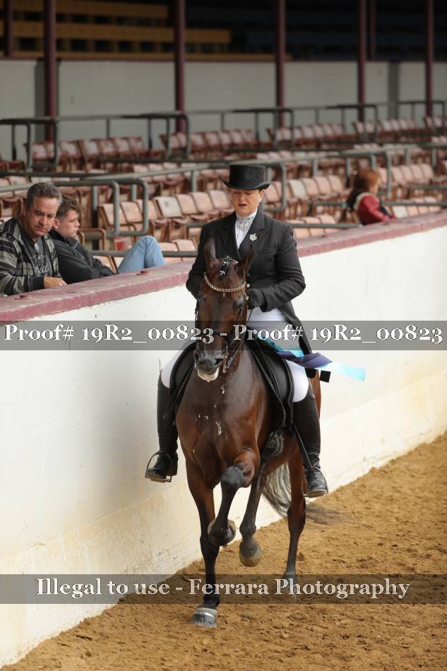 Proof 19R2_00823