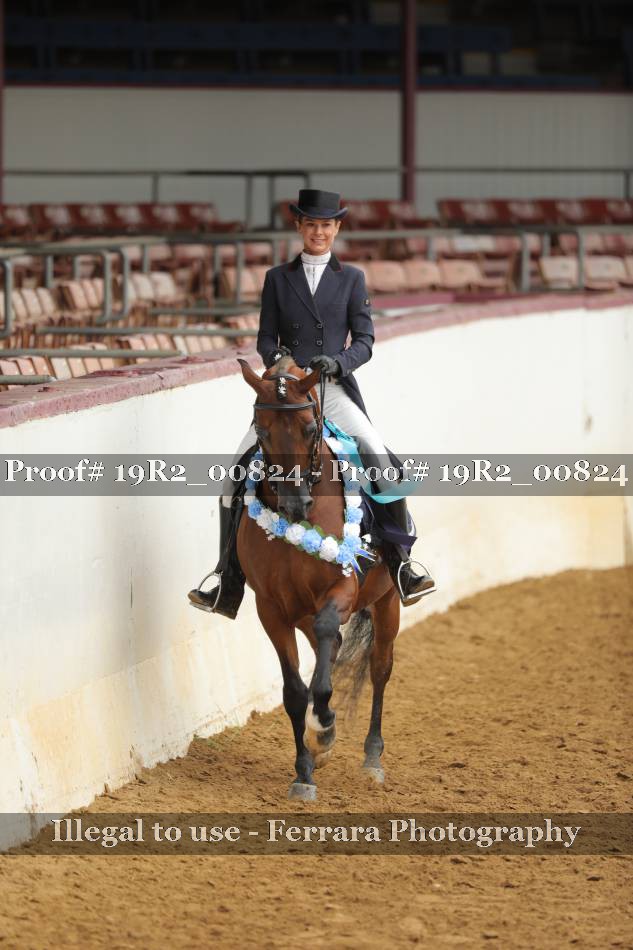 Proof 19R2_00824