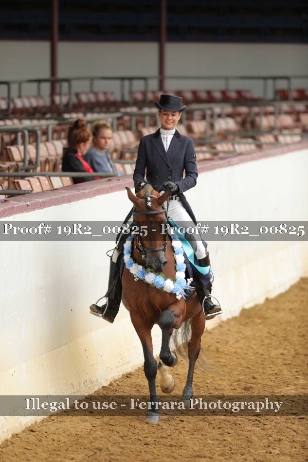 Proof 19R2_00825