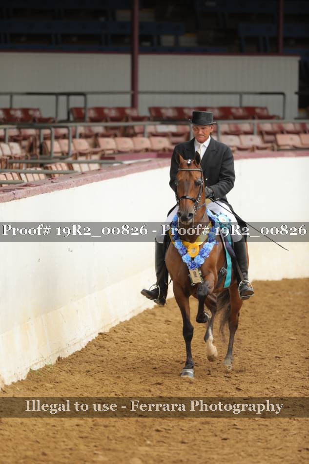 Proof 19R2_00826