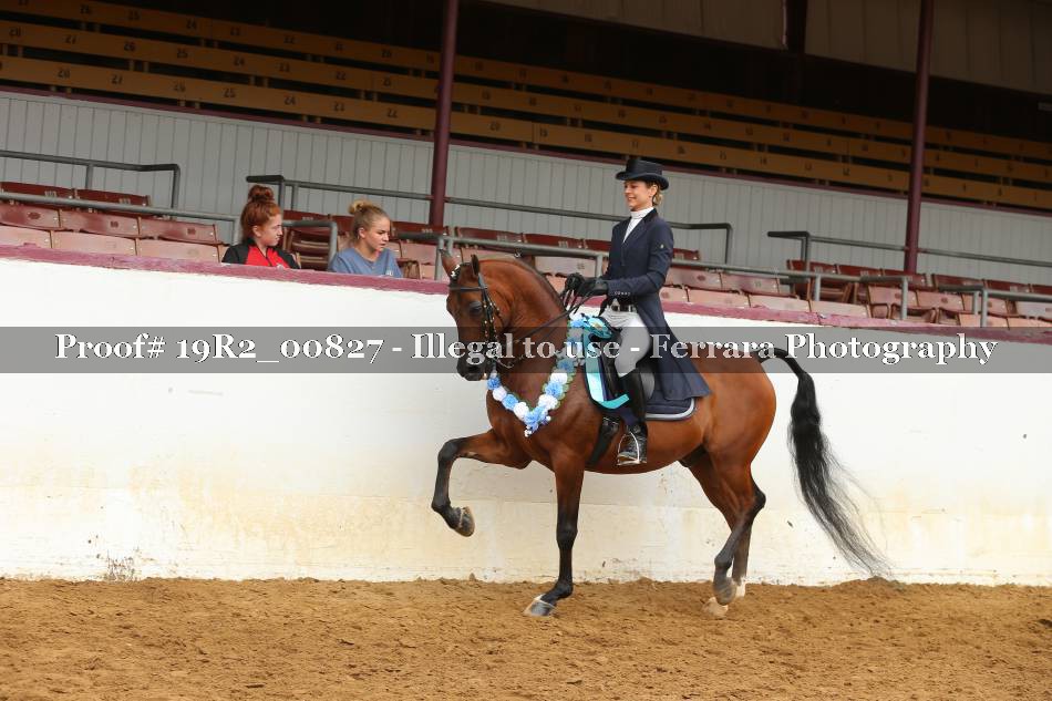 Proof 19R2_00827