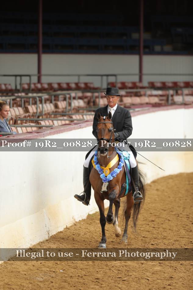 Proof 19R2_00828