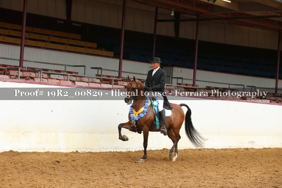 Proof 19R2_00829