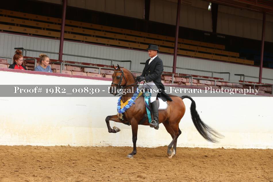 Proof 19R2_00830