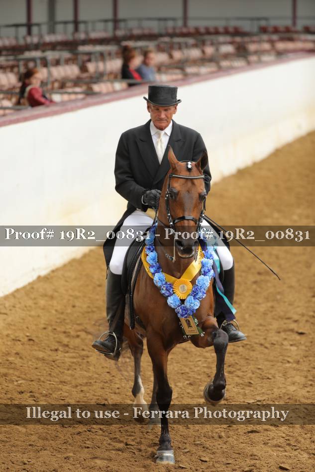 Proof 19R2_00831