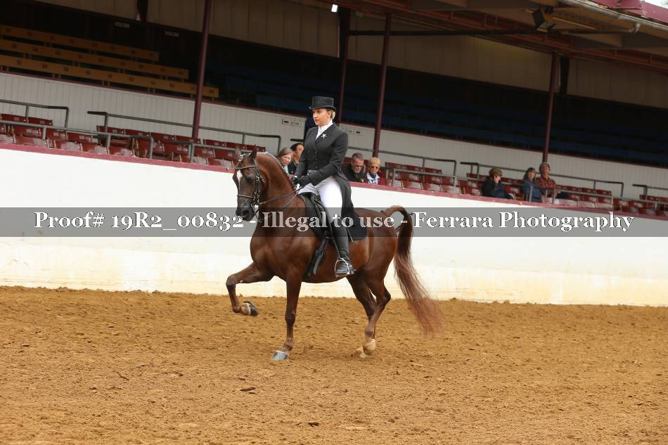 Proof 19R2_00832