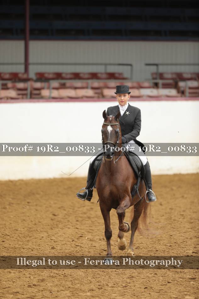 Proof 19R2_00833
