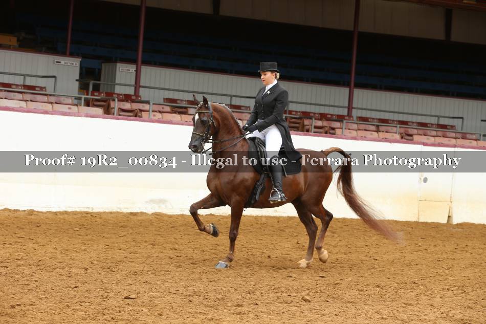 Proof 19R2_00834