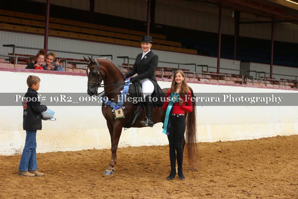 Proof 19R2_00839