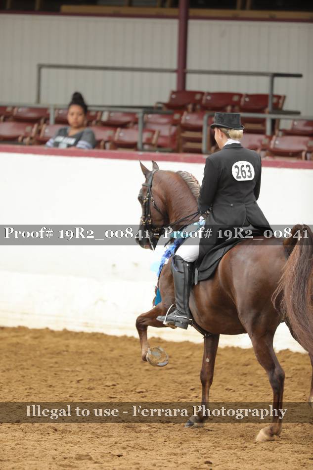 Proof 19R2_00841