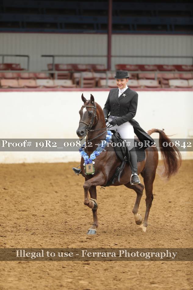Proof 19R2_00842