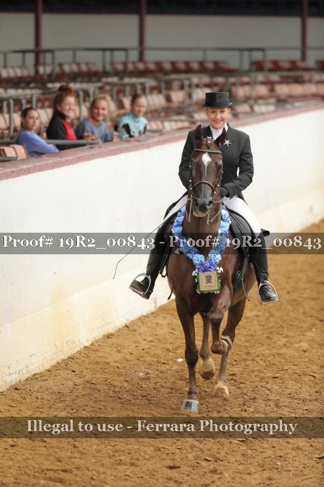 Proof 19R2_00843