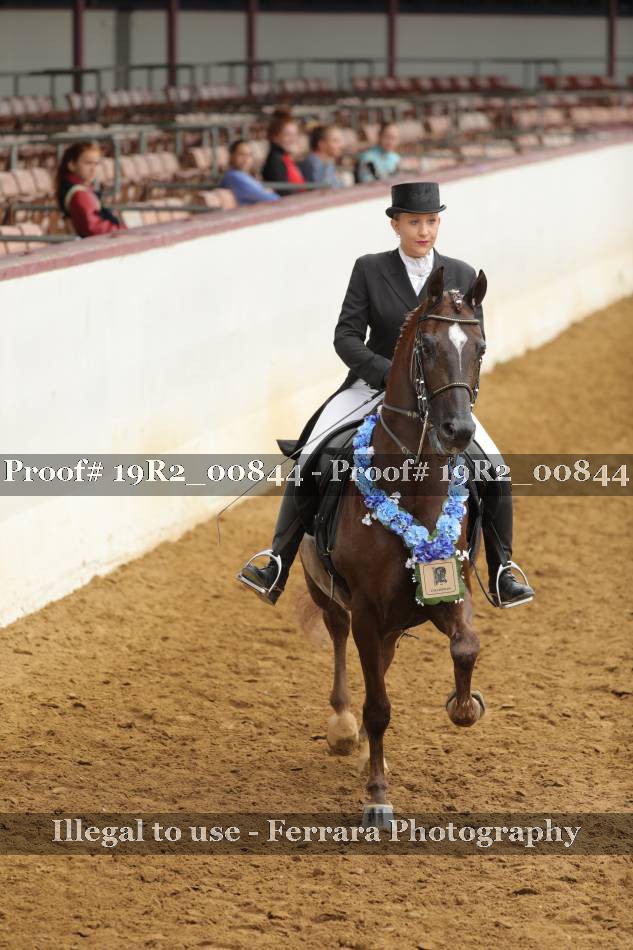 Proof 19R2_00844