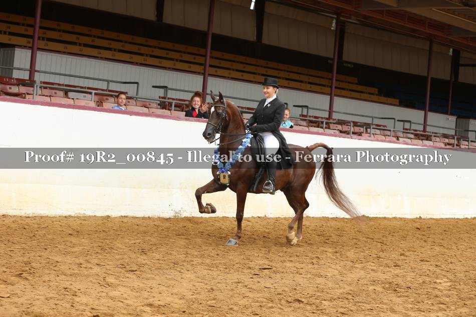 Proof 19R2_00845