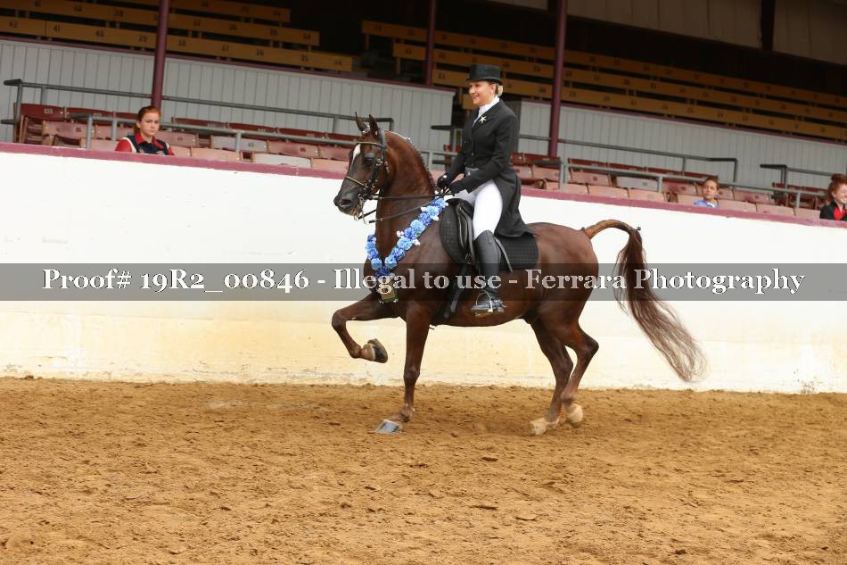 Proof 19R2_00846