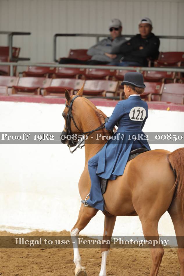 Proof 19R2_00850