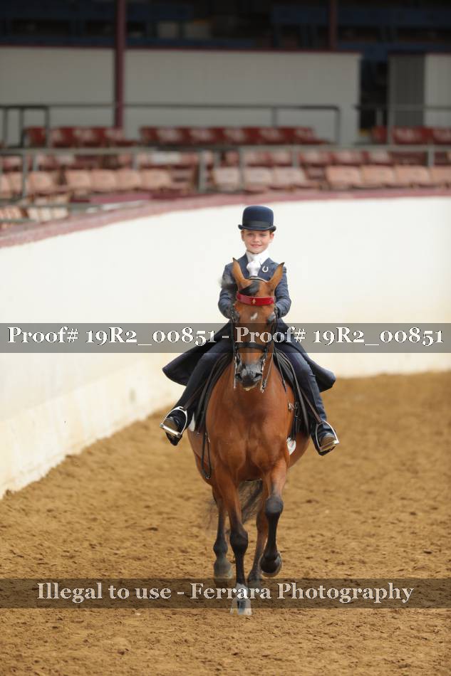 Proof 19R2_00851