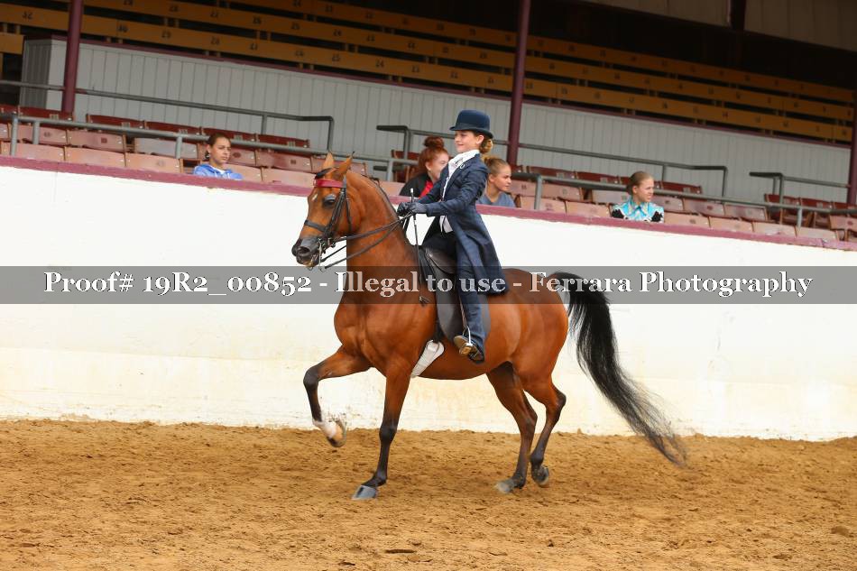 Proof 19R2_00852
