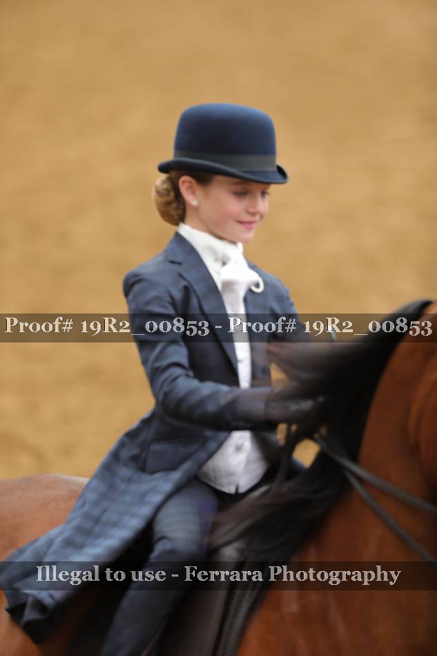 Proof 19R2_00853