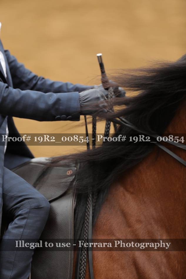Proof 19R2_00854