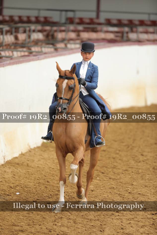 Proof 19R2_00855