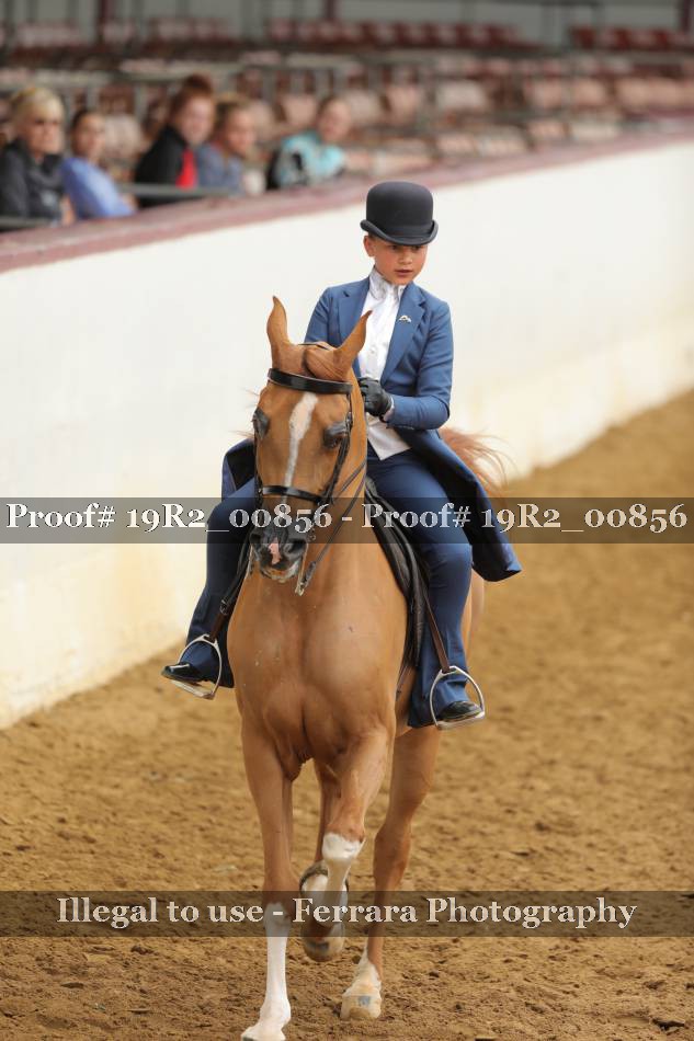 Proof 19R2_00856