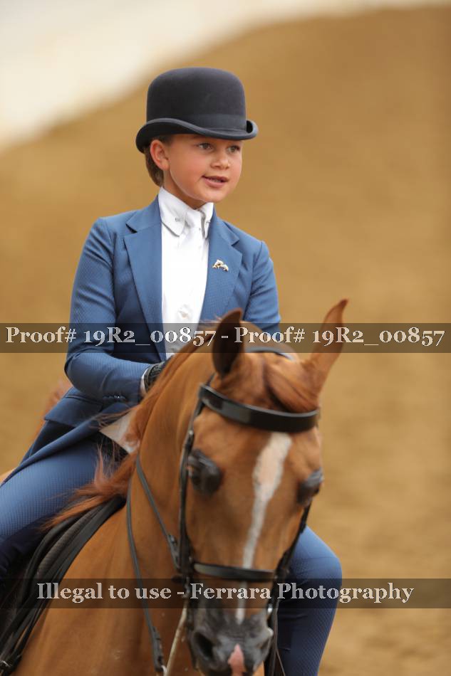 Proof 19R2_00857