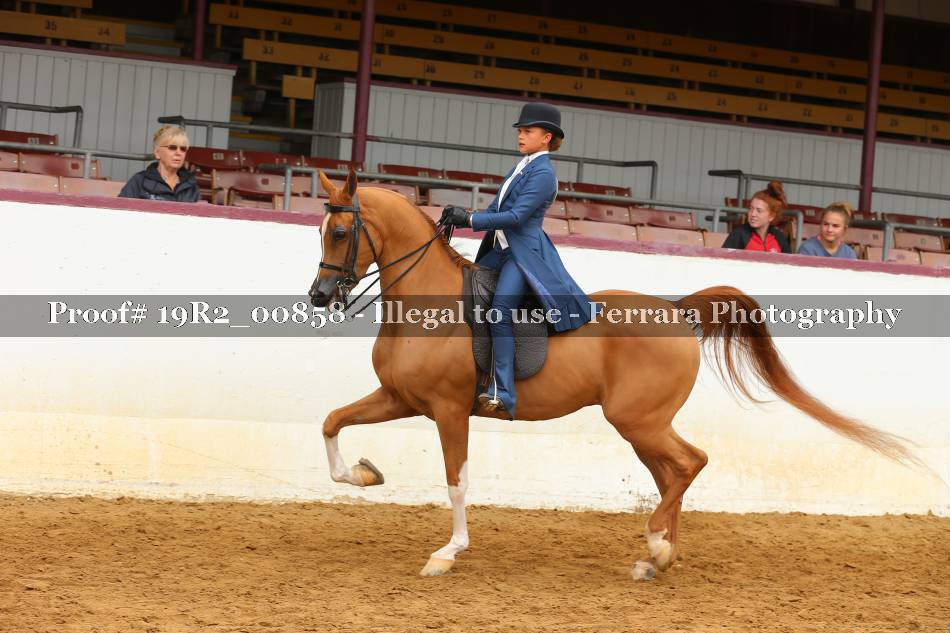 Proof 19R2_00858