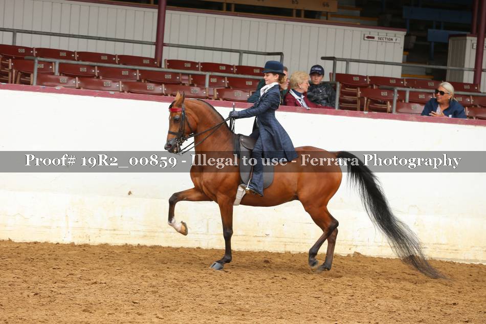 Proof 19R2_00859