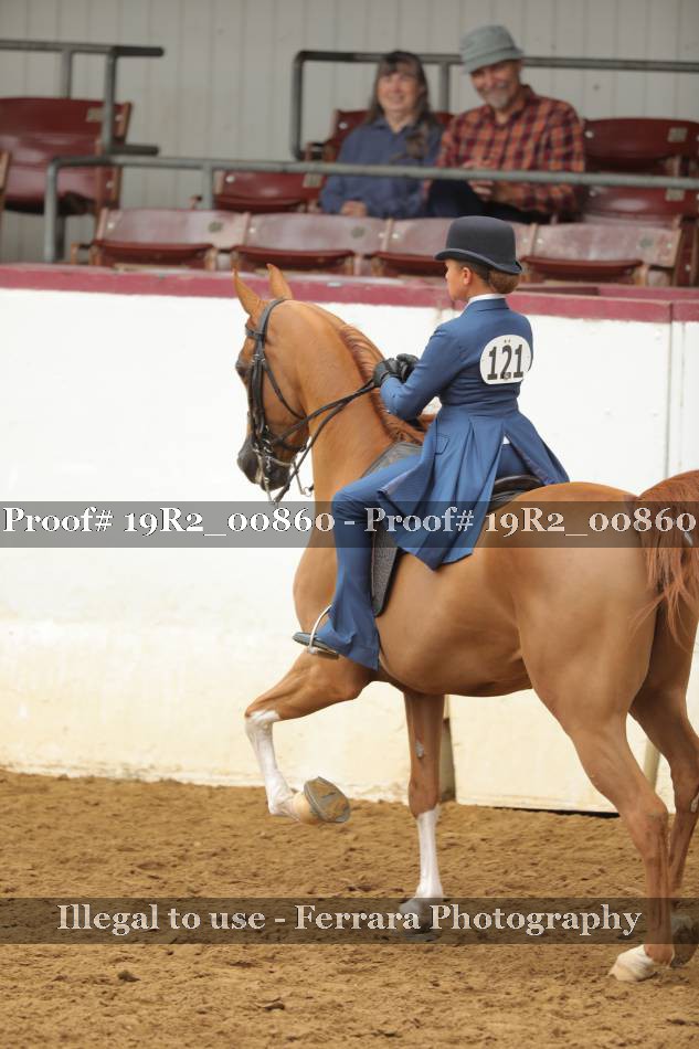 Proof 19R2_00860
