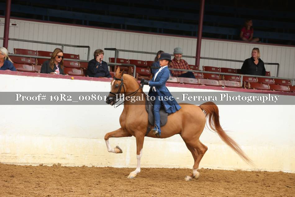Proof 19R2_00861