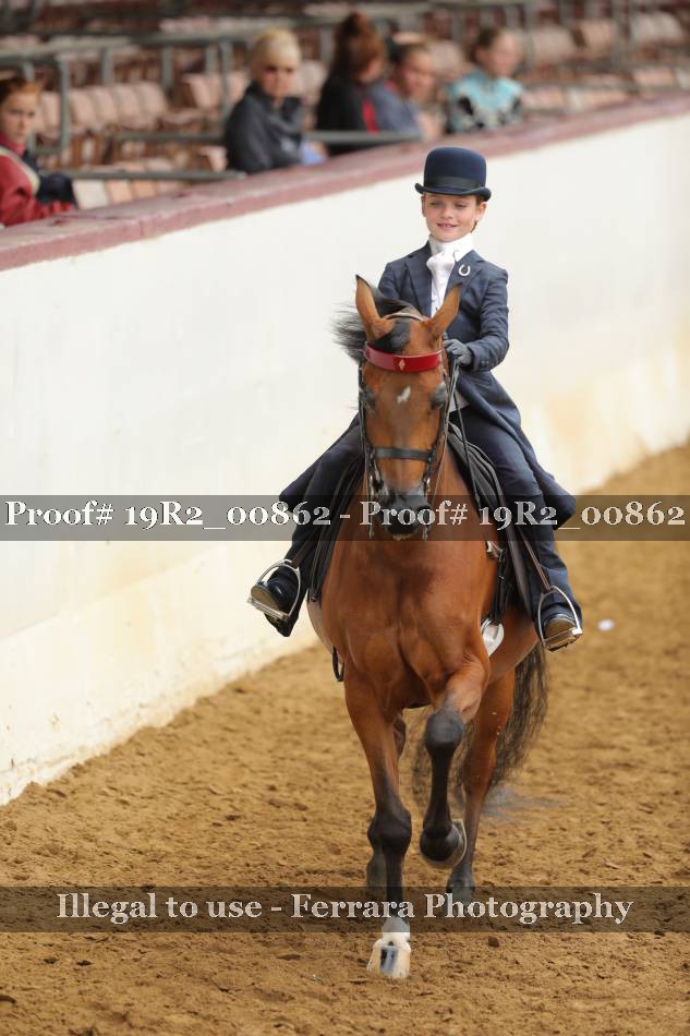 Proof 19R2_00862